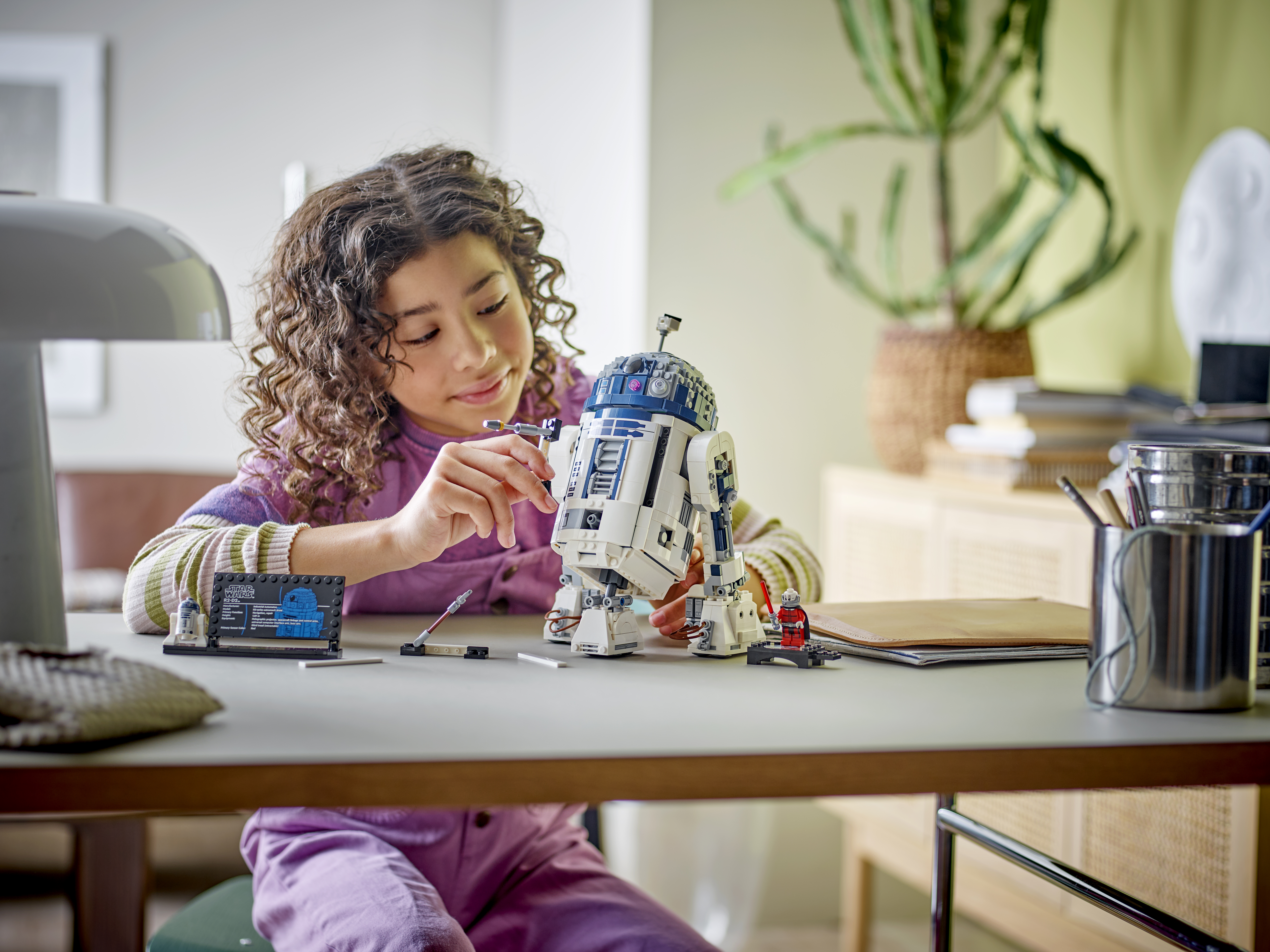 LEGO 75379 – Fertig zum Spielen oder Ausstellen