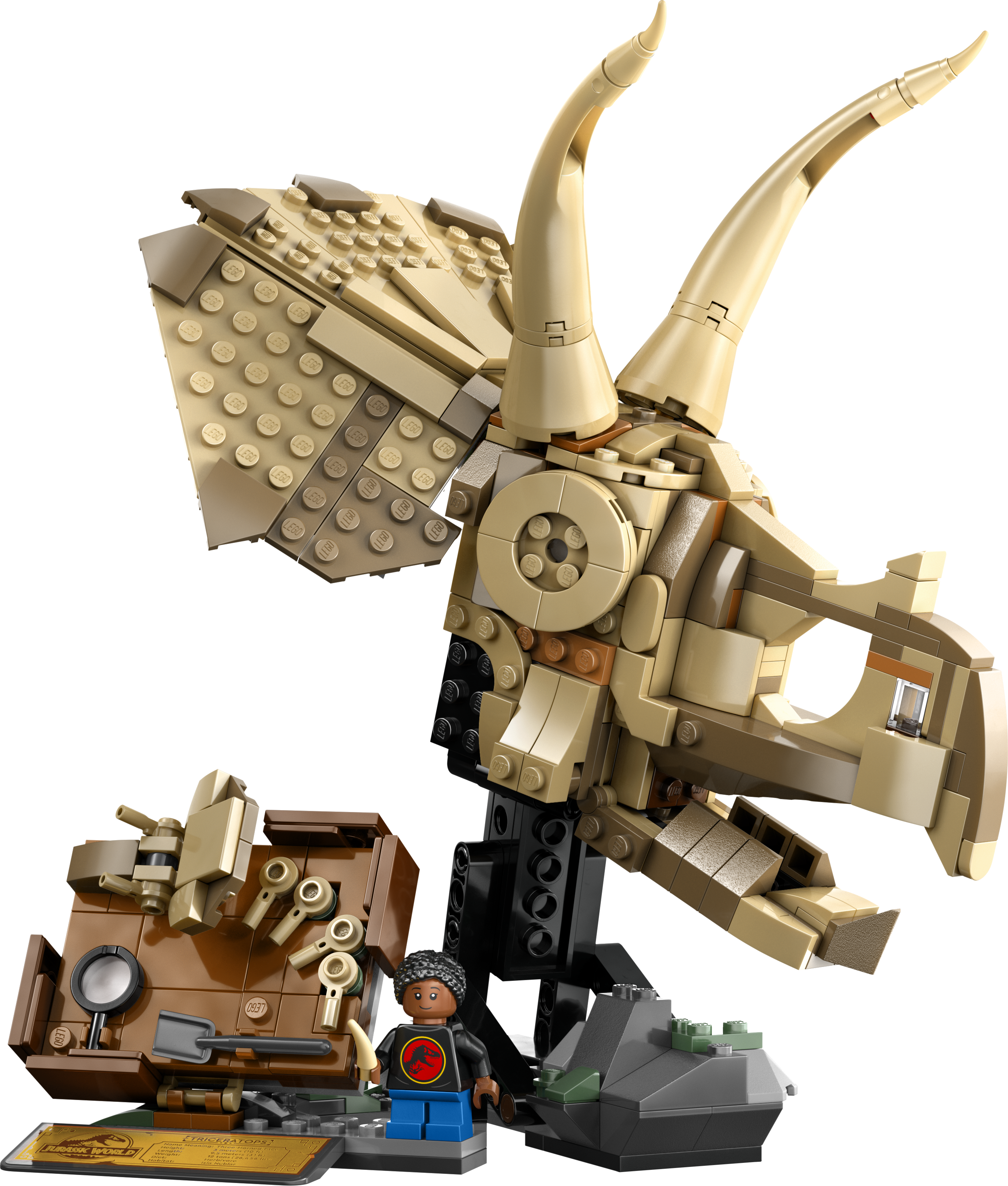 LEGO 76969 Dinosaurier-Fossilien Triceratops-Schädel Detailansicht mit Ausgrabungswerkzeugen