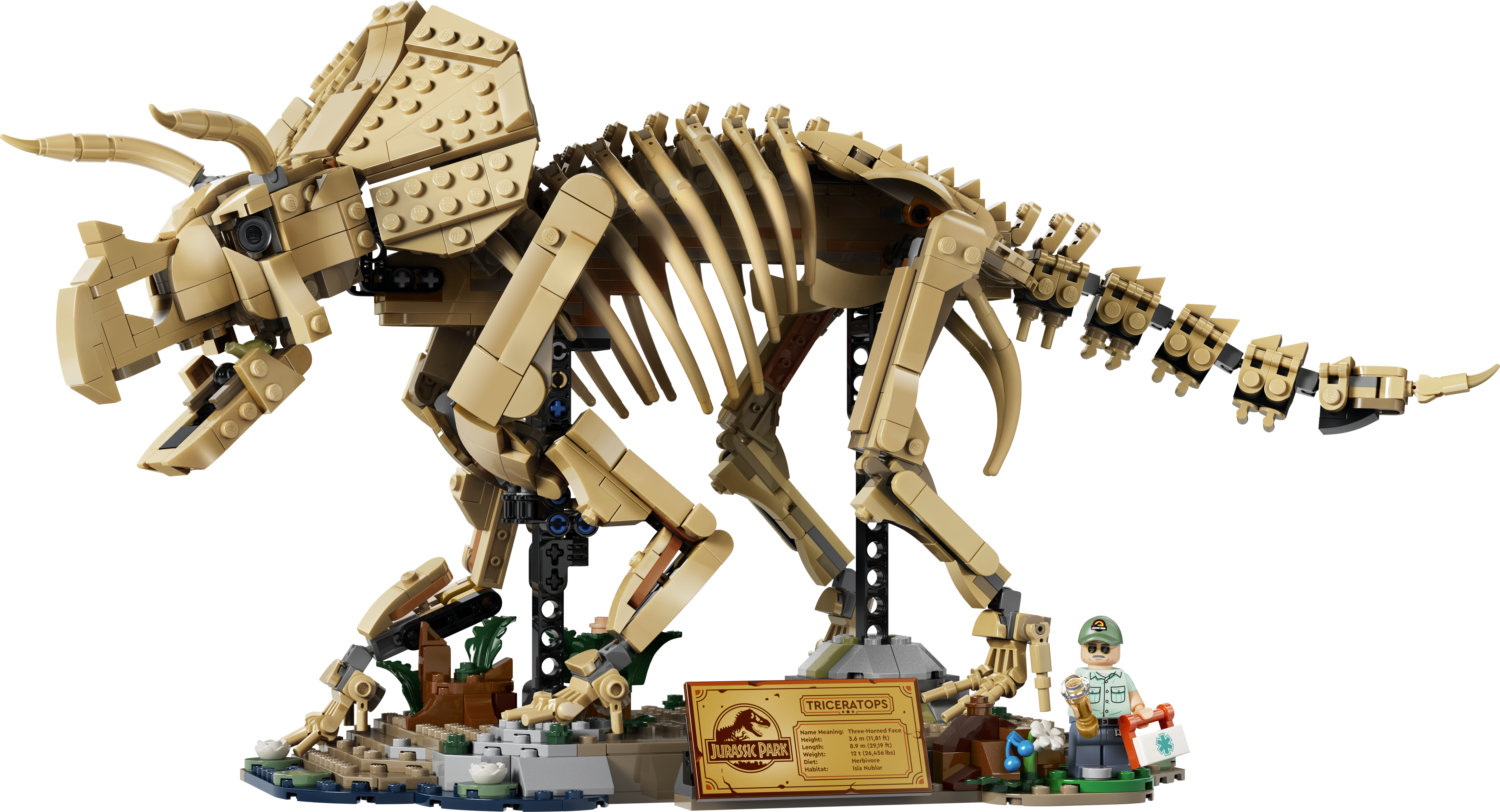 LEGO 77985 Triceratops-Skelett mit aufgeklapptem Kiefer und beweglichen Gliedmaßen Detailansicht