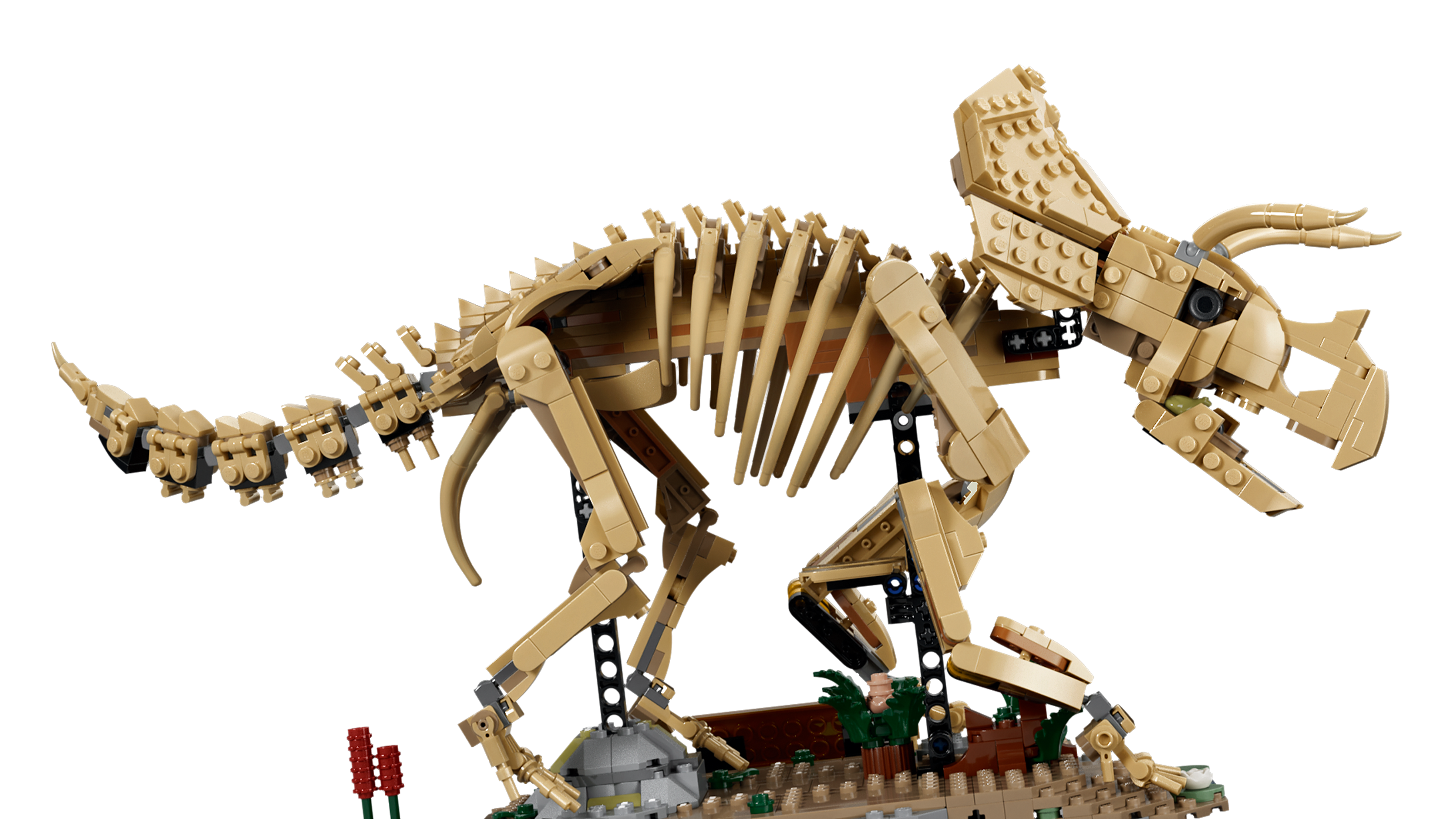 LEGO 77985 Dinosaurier-Fossilien Triceratops Produktbild mit detailreichem Dinosaurierskelett und Infotafel